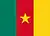 Flag - Cameroon